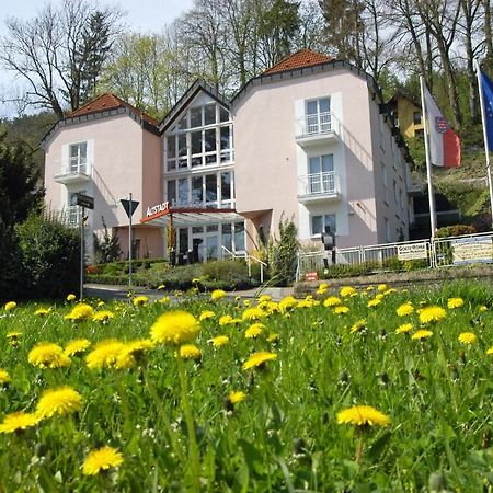 Altstadthotel An Der Werra Meiningen Exterior foto